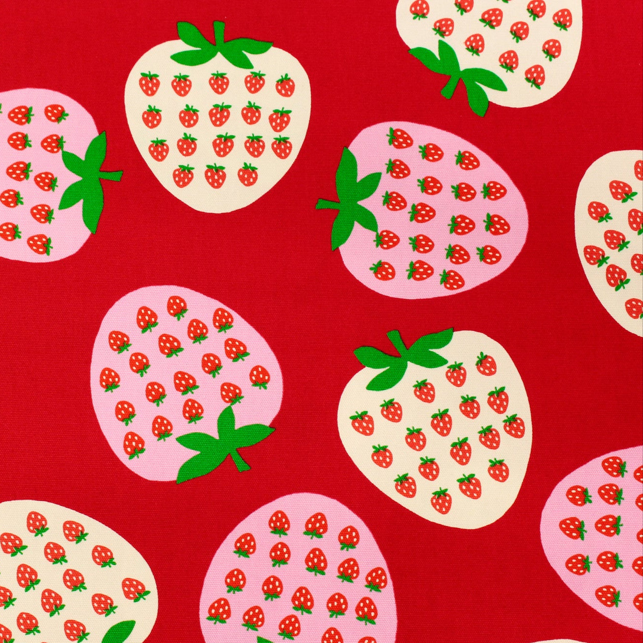 Koko Seki Japanese Import Strawberries Oxford 99222-2C Red