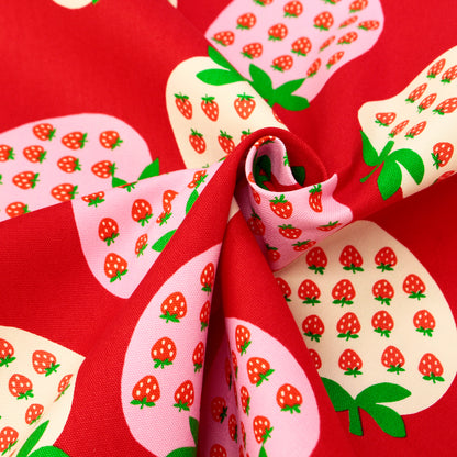 Koko Seki Japanese Import Strawberries Oxford 99222-2C Red