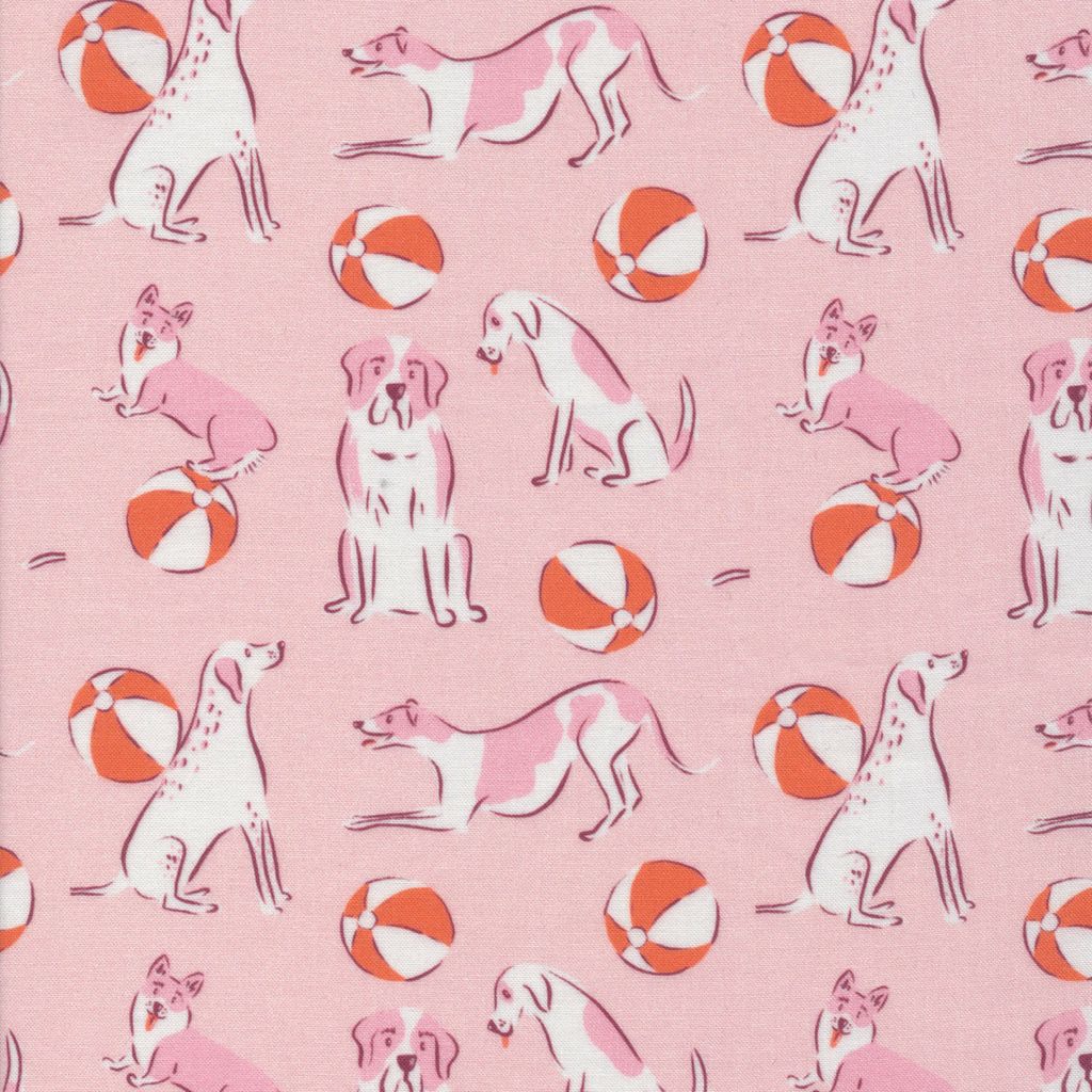 Krissy Mast Cloud9 Fabrics Dog Days of Summer Beach Ball Bounce 227411