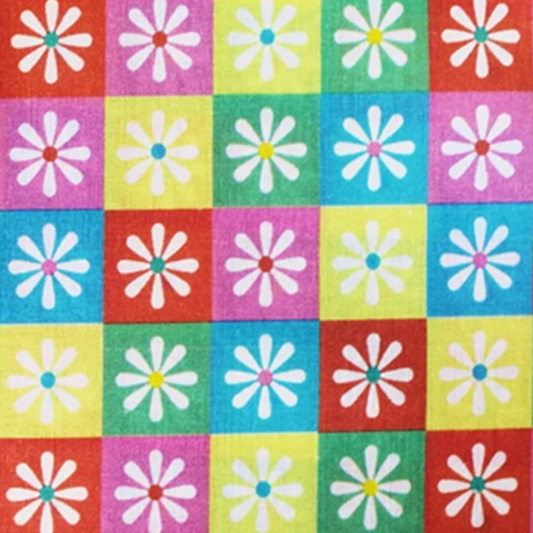 Little Johnny Checkered Daisy 3567
