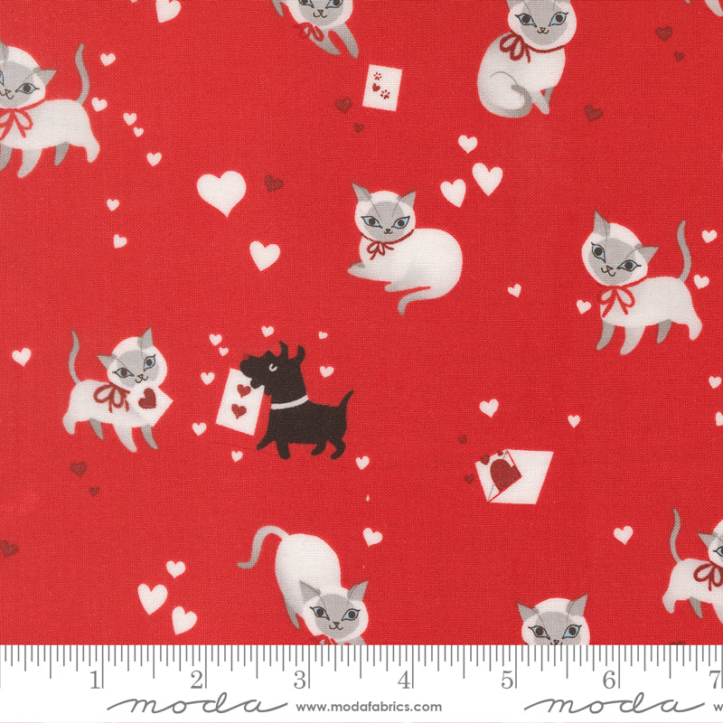 Lizzy House Moda Fabrics Funny Valentine Kitty 37140 16 Love