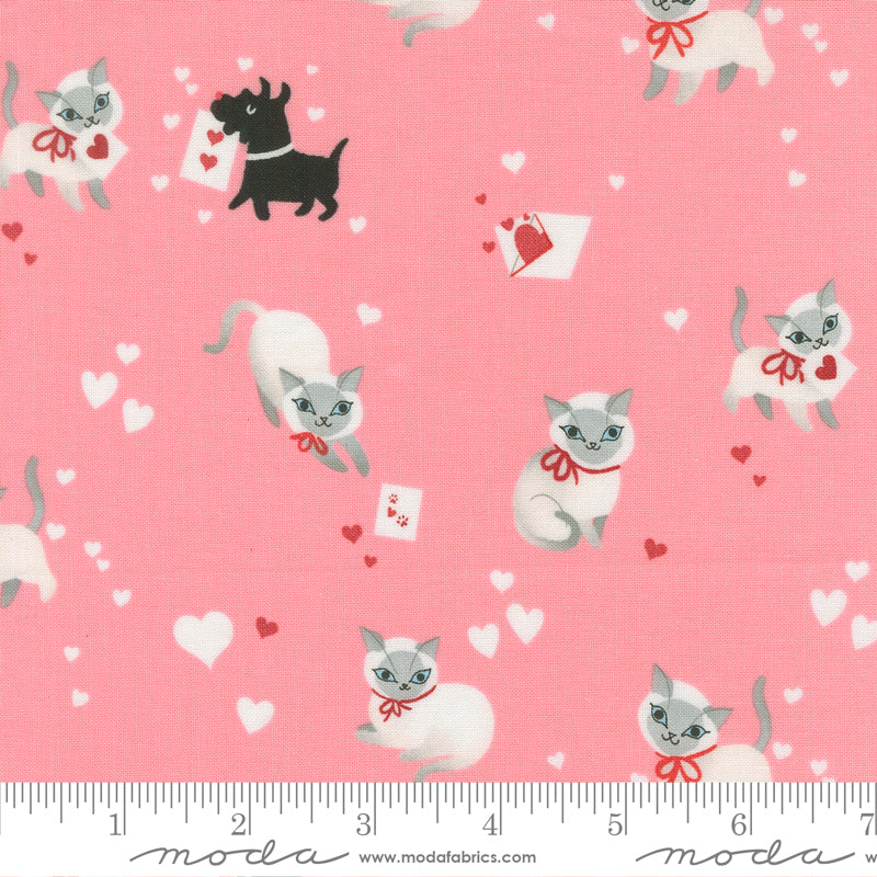 Lizzy House Moda Fabrics Funny Valentine Kitty 37140 20 Ballerina