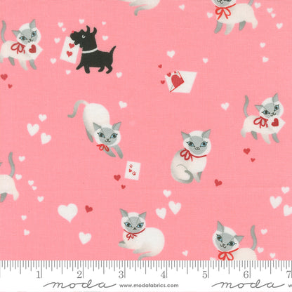 Lizzy House Moda Fabrics Funny Valentine Kitty 37140 20 Ballerina