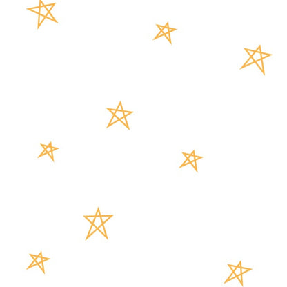 Lori Holt Riley Blake Designs Bee Plaids Star C12039-DAISY