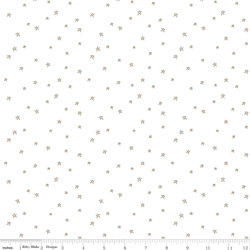 Lori Holt Riley Blake Designs Bee Plaids Star C12039-DAISY