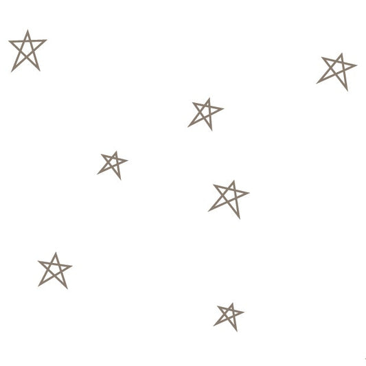 Lori Holt Riley Blake Designs Bee Plaids Star C12039-PEBBLE