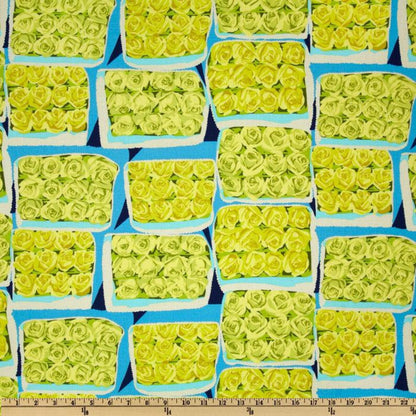 Martha Negley Flower Market Rowan Westminster Fibers  Boxed Dozen MN54 Sky