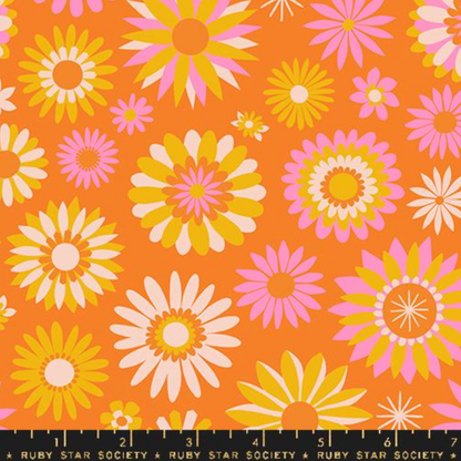Melody Miller Ruby Star Society Moda Carousel Kaleidoscope Orange RS0097 14