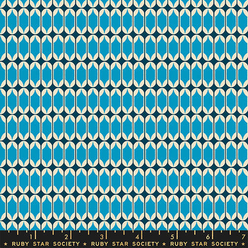 Melody Miller Ruby Star Society Moda Fabrics Trinketry Matchbook RS011516 Bright Blue