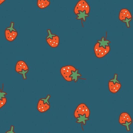 Minki Kim Riley Blake Designs Serendipity 2 Strawberries C17302-STARGAZER