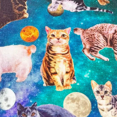 Moelan_Studio_Nora_Japanese_Fabrics_Day Dream Cat Teal ST1129-B