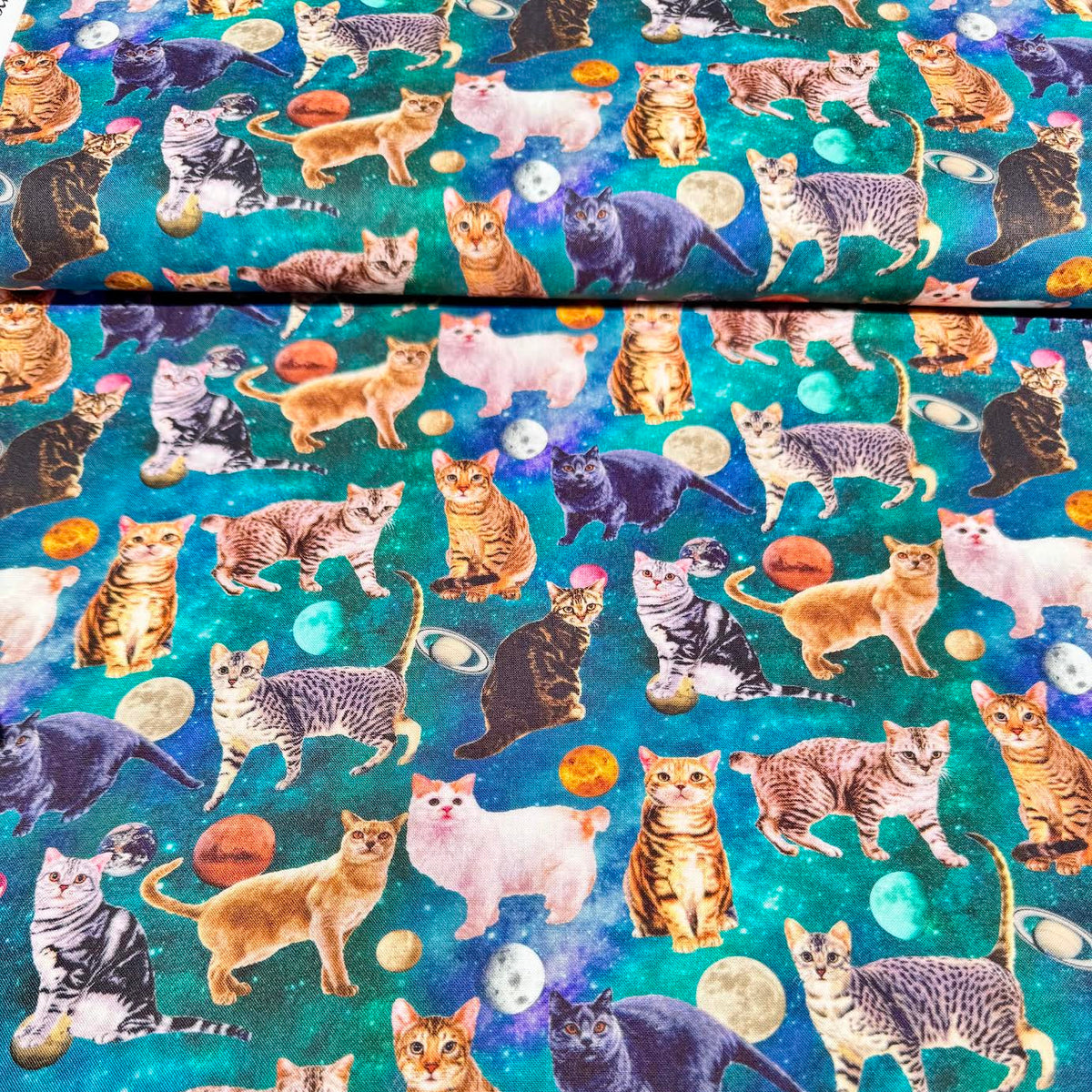 Moelan_Studio_Nora_Japanese_Fabrics_Day Dream Cat Teal ST1129-B
