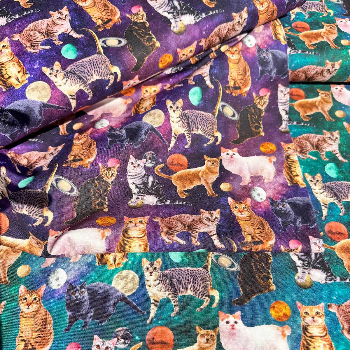 Moelan_Studio_Nora_Japanese_Fabrics_Day Dream Cat Teal ST1129-B