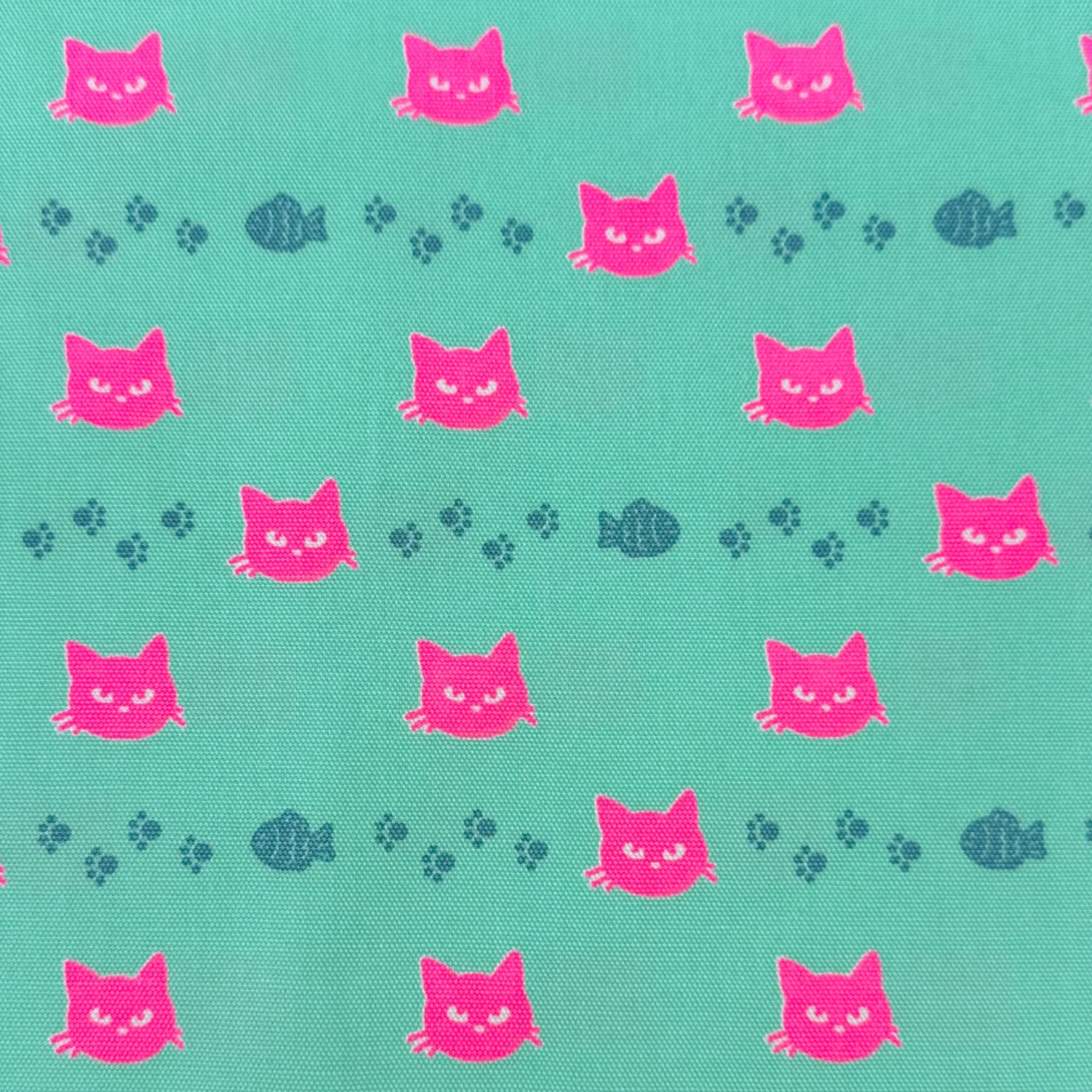 Neon Cat Aqua Neon Pink Fabric Japanese Import