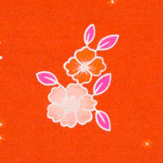Petit Pan Paris France Folksy Tangerine