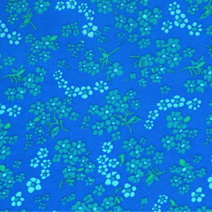 Petit Pan Paris France Hanako Blue
