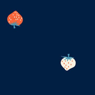 Strawberry Wideback by Kimberly Kight | Navy