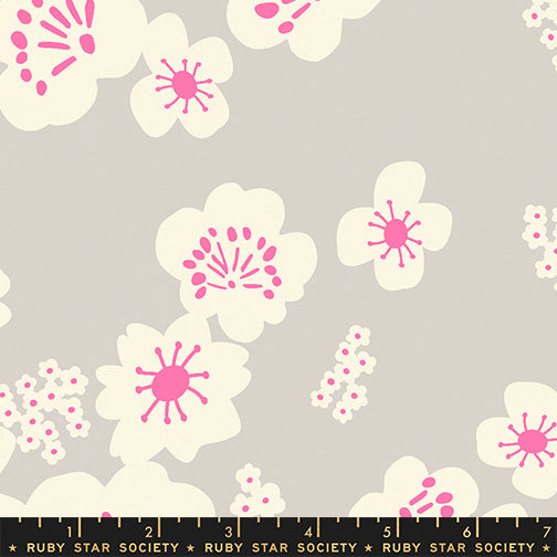 Rashida_Coleman_Hale_Ruby_Star_Society_Moda_Fabrics_Paper_Cuts_2_Hana_Canvas RS1115 13L Sandbox