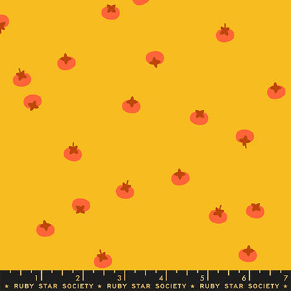 Rashida Coleman Hale Ruby Star Society Moda Fabrics Persimon Persimmons RS1120 12 Dandelion
