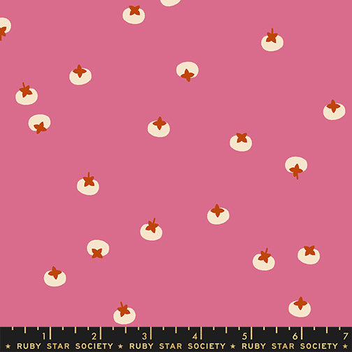 Rashida Coleman Hale Ruby Star Society Moda Fabrics Persimon Persimmons RS1120 13 Hibiscus
