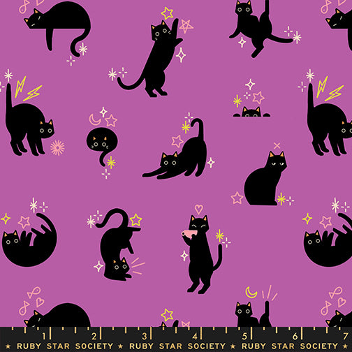 Ruby Star Society Moda Fabrics Freaky Familiars Catwalk RS5193 13 Witchy