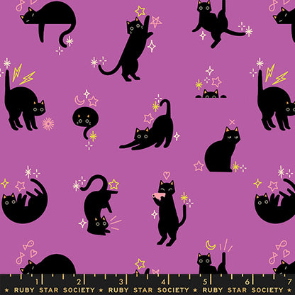 Ruby Star Society Moda Fabrics Freaky Familiars Catwalk RS5193 13 Witchy