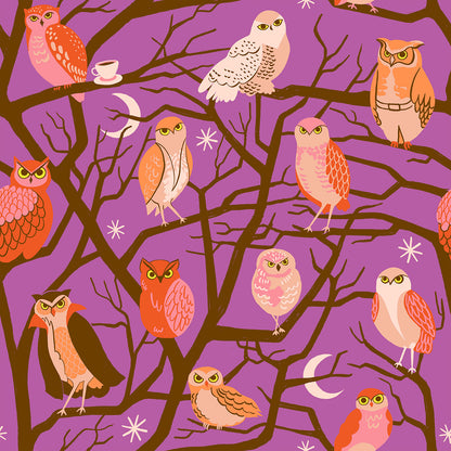 Ruby Star Society Moda Fabrics Freaky Familiars Who Cooks For You RS5190 11 Witchy