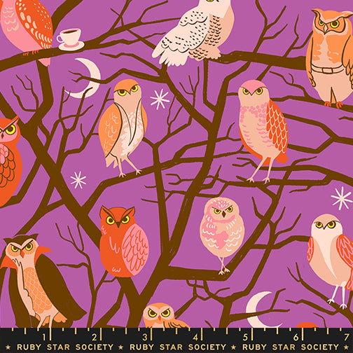 Ruby Star Society Moda Fabrics Freaky Familiars Who Cooks For You RS5190 11 Witchy