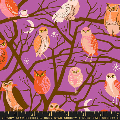 Ruby Star Society Moda Fabrics Freaky Familiars Who Cooks For You RS5190 11 Witchy