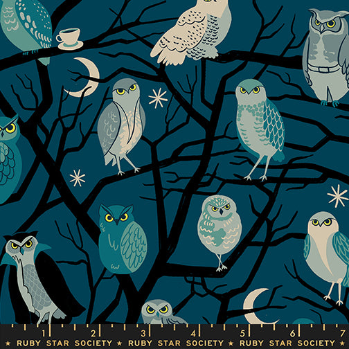 Ruby Star Society Moda Fabrics Freaky Familiars Who Cooks For You RS5190 12 Galaxy