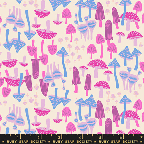 Sarah Watts Ruby Star Society Moda Fabrics Hello Alice RS2124 11