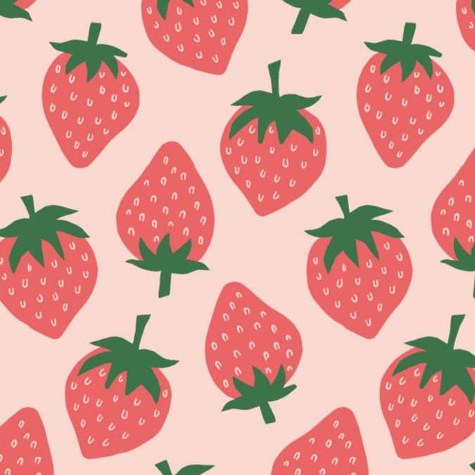 Shannon McNab Felicity Fabrics Spring Strawberries 610281