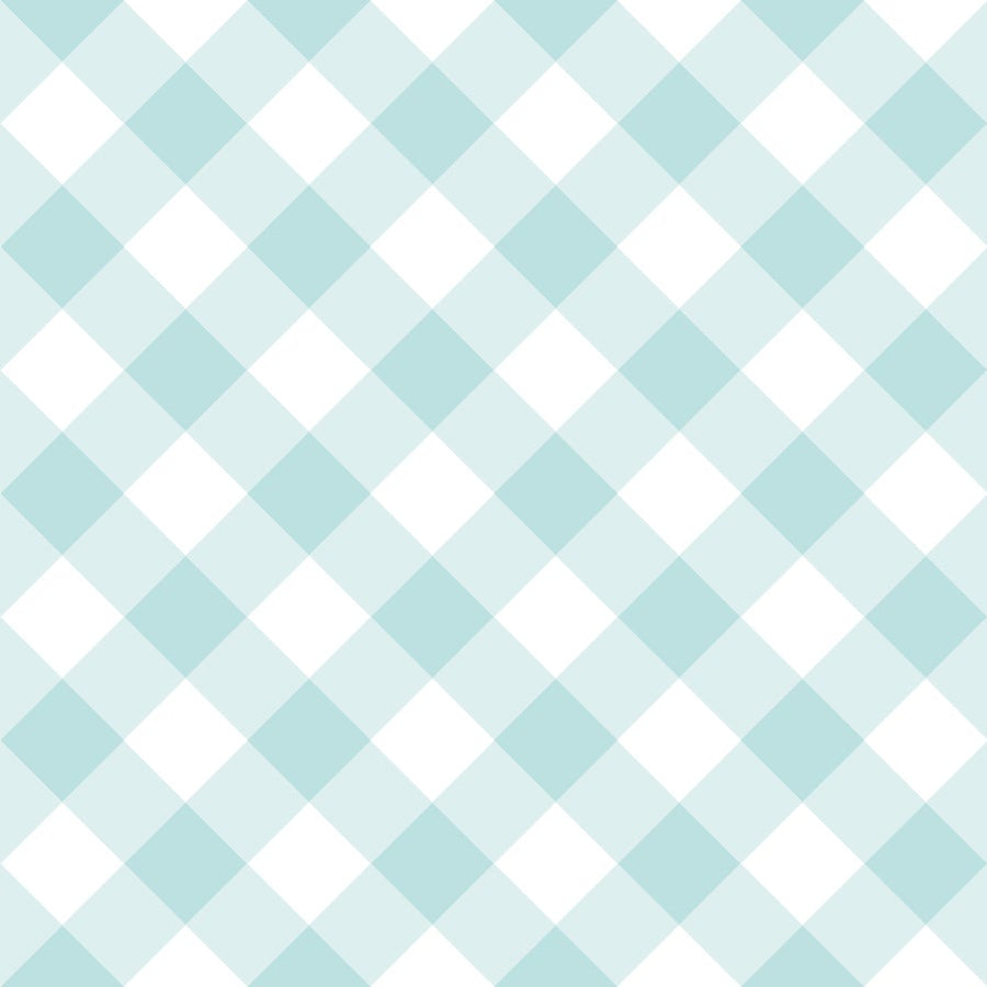 Tasha Noel Riley Blake Designs Whimsical Woodland Diagonal Gingham C17646-AQUA