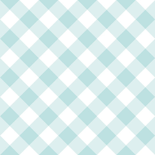 Tasha Noel Riley Blake Designs Whimsical Woodland Diagonal Gingham C17646-AQUA