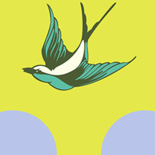 Tula Pink FreeSpirit Fabrics Free Fall Wideback QBTP018.ENCHANTED