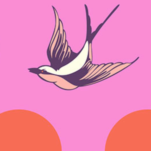 Tula Pink FreeSpirit Fabrics Free Fall Wideback QBTP018.HONEY