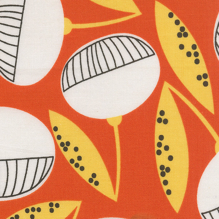 Zen Chic Moda Fabrics Balisong Fruitique 11660 16 Papaya